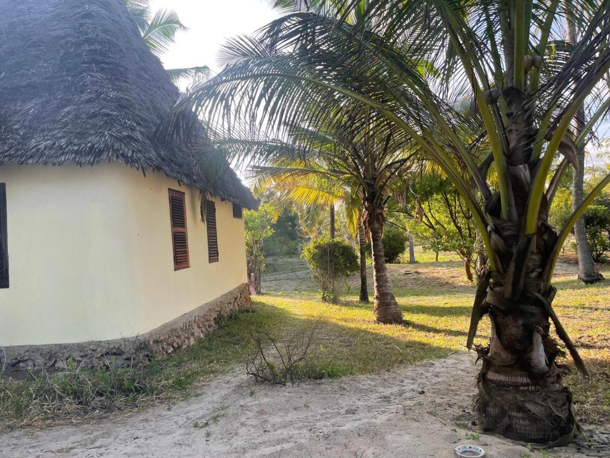 Embedodo Beach House, Ushongo Beach, Pangani Ushongo Mabaoni Exterior foto